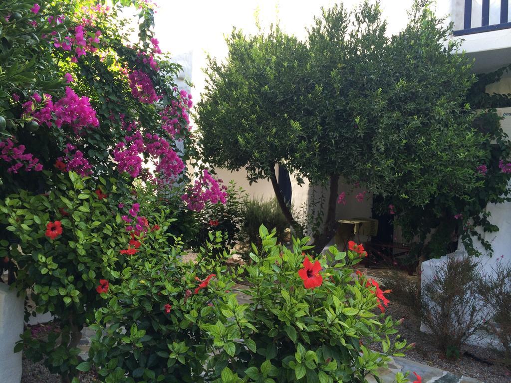 Utopia Apartment Agia Marina (Leros)